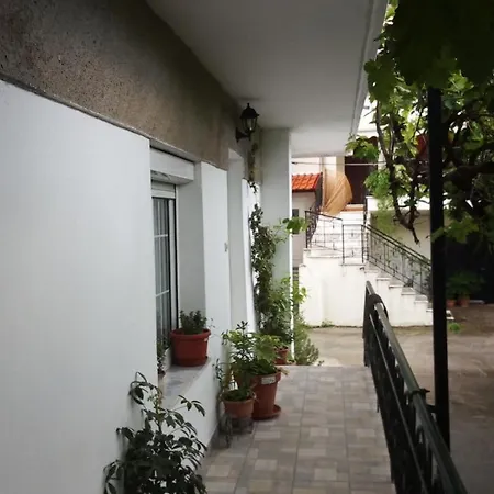 Big Near Olympus Mountain Apartment Litochoro