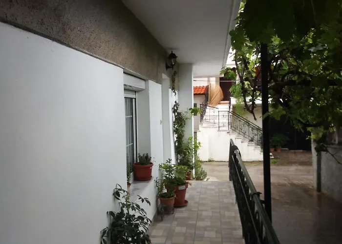 Big Near Olympus Mountain Apartment Litochoro